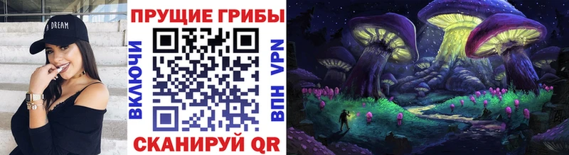 что такое наркотик  Добрянка  Галлюциногенные грибы Psilocybe 